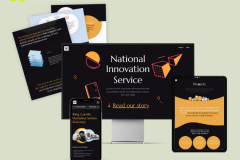Web Development and Marketing for NIS